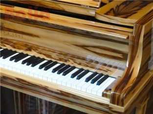 تدریس پیانو توسط پردیس عمانیان(16سال سابقه)